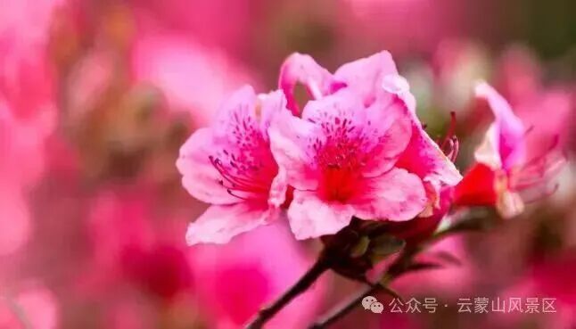 微信图片_2026-04-30_163735_103.jpg