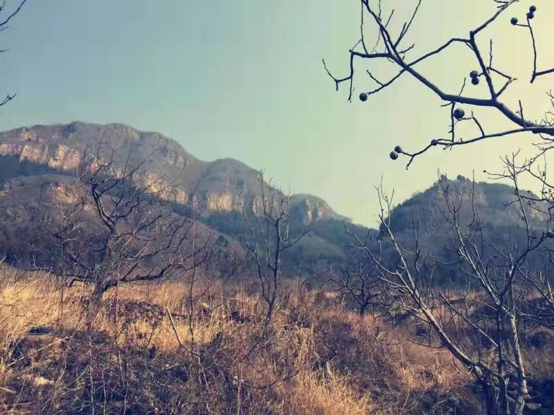 美图美景：太保庄