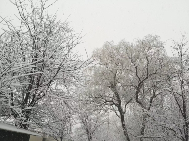 美图美景：东邵渠雪景