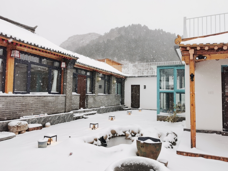 美图美景：东邵渠镇雪景