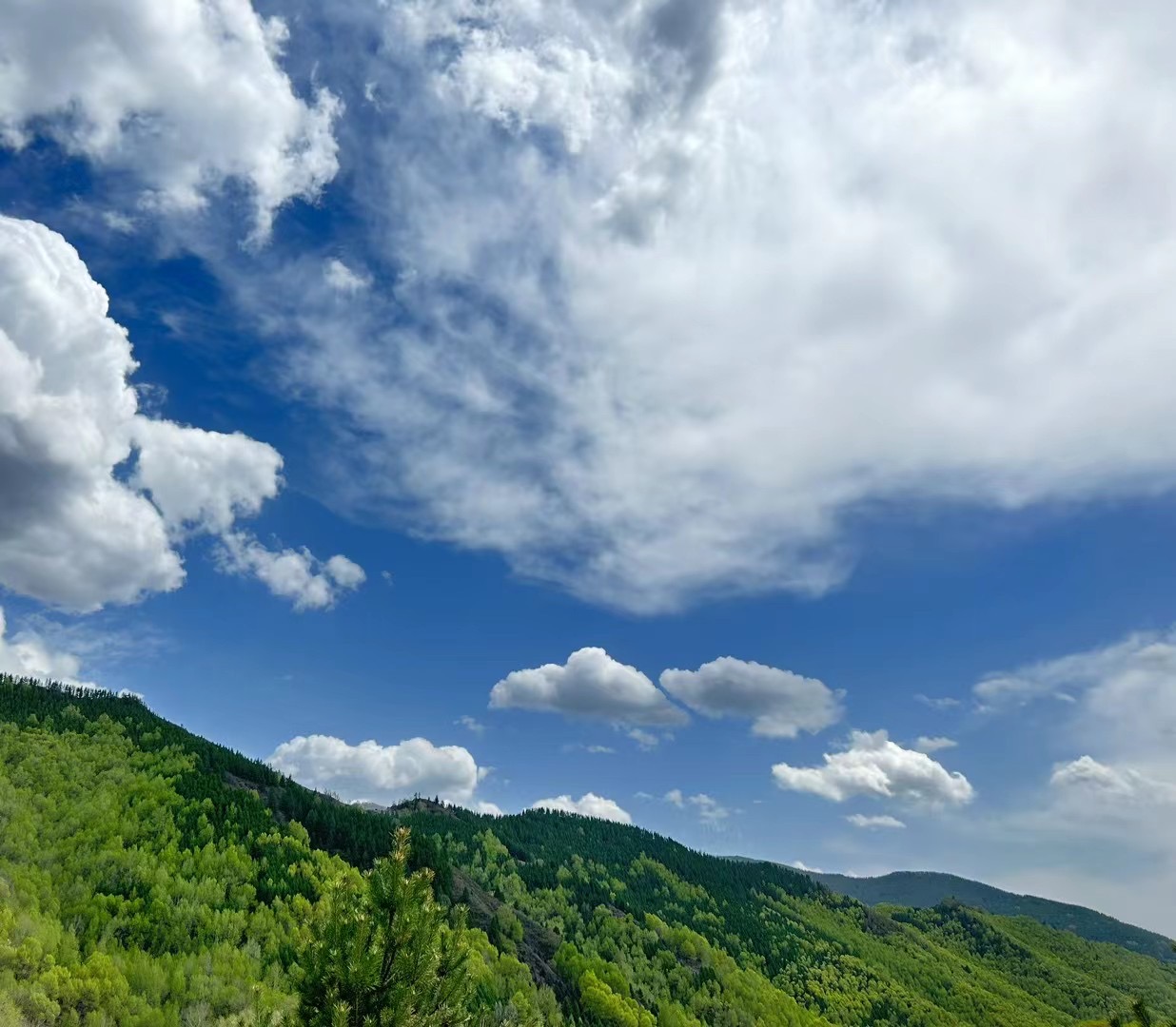 东邵渠镇美图美景