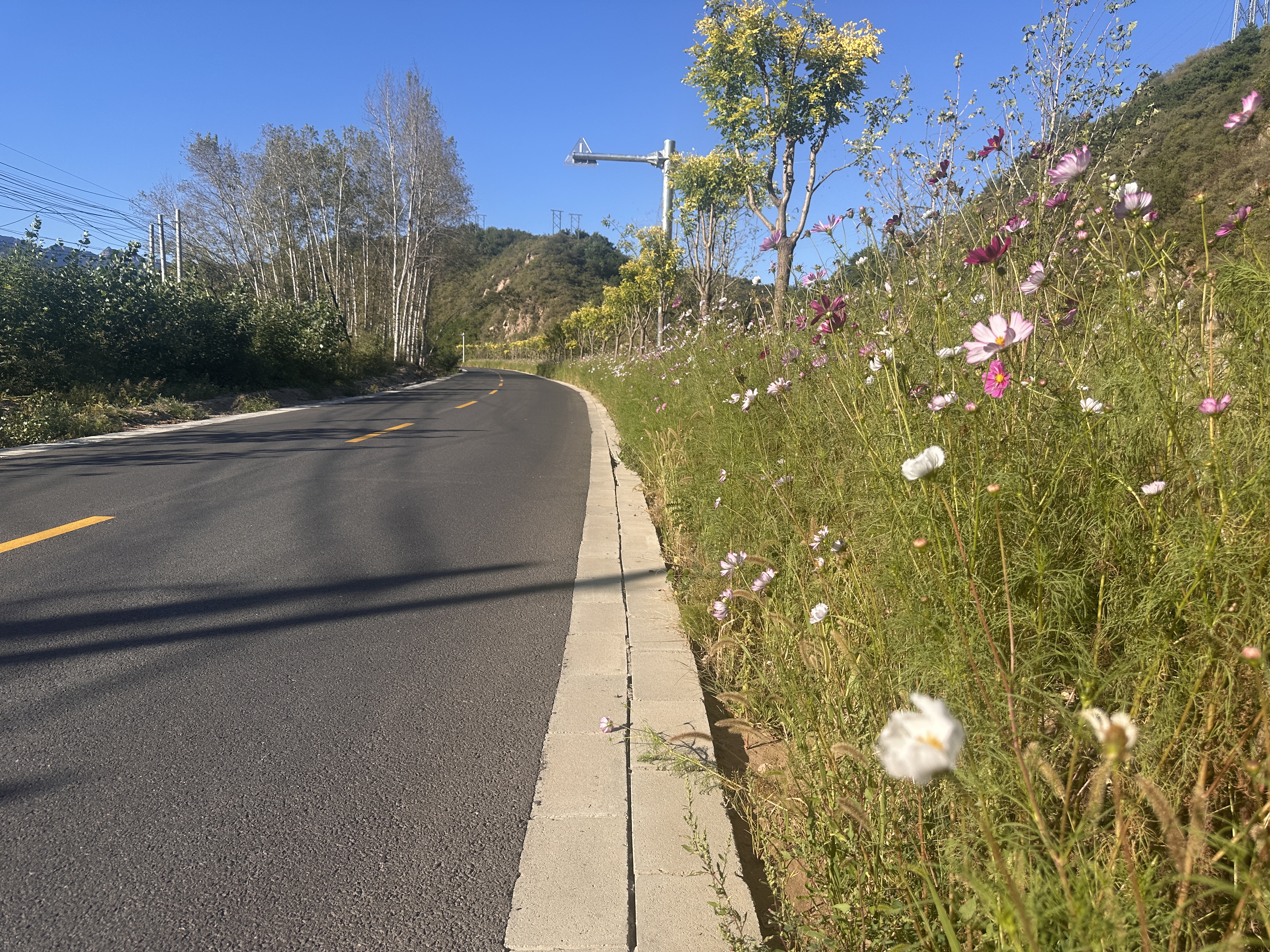 一路生花
