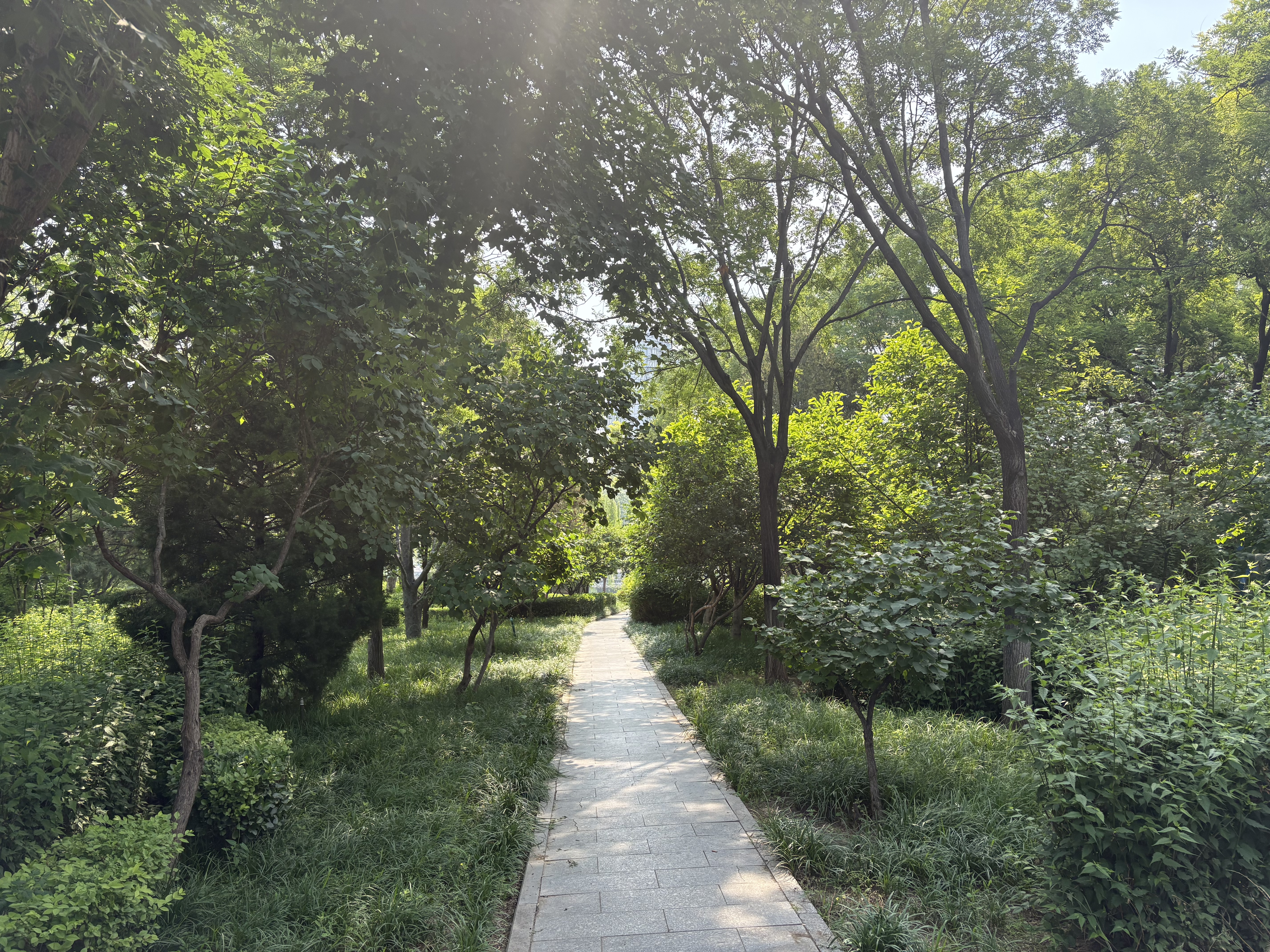 康居路