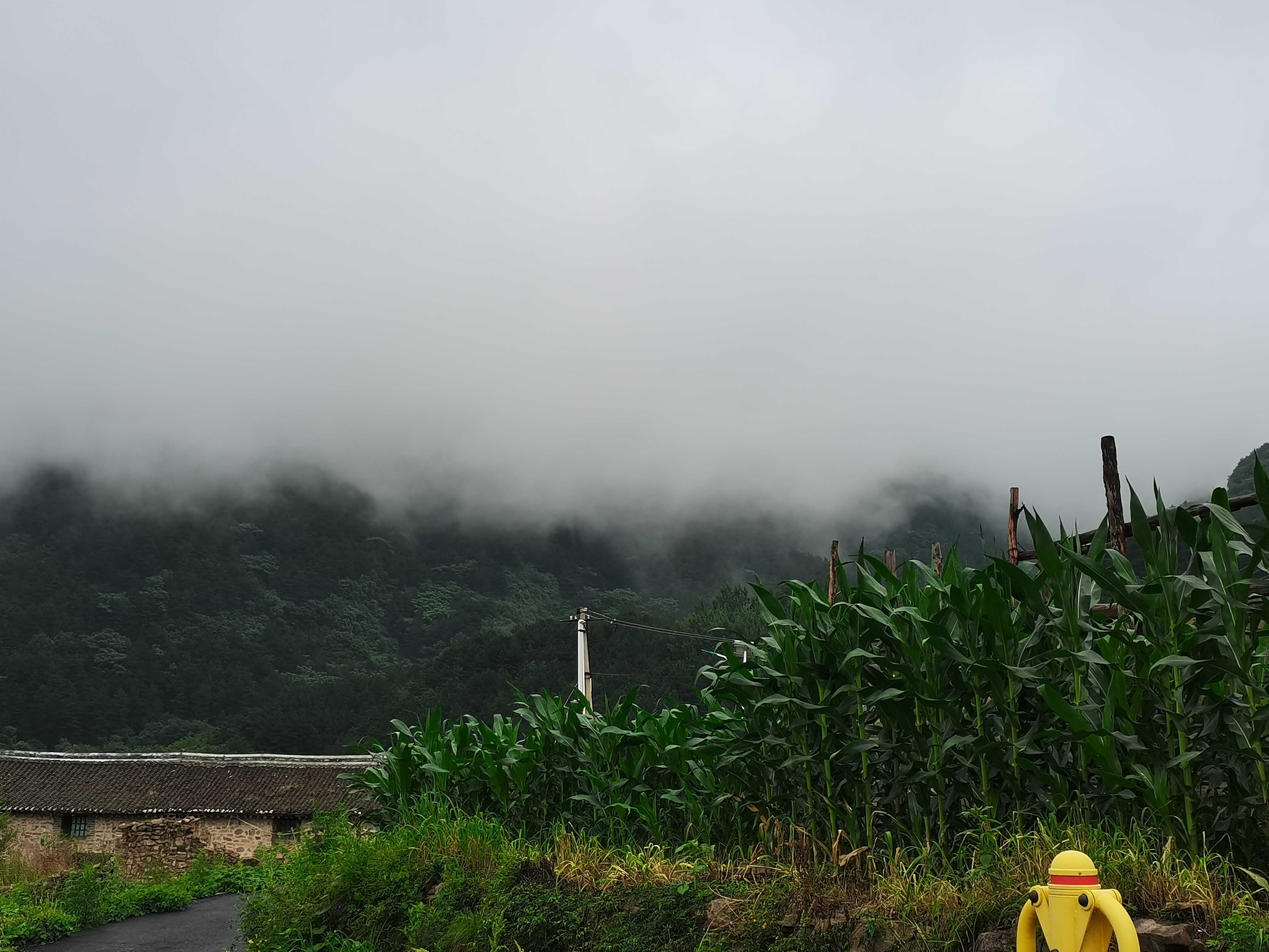 雨后山景