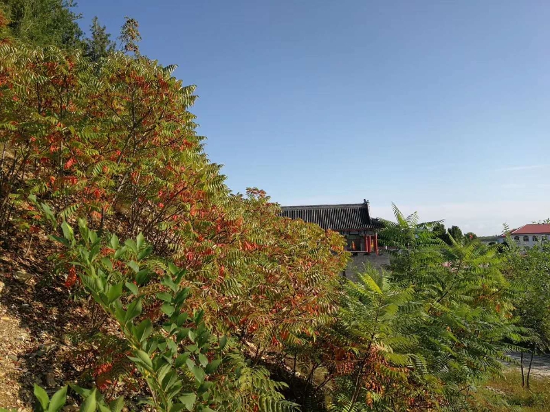 秋色农家院