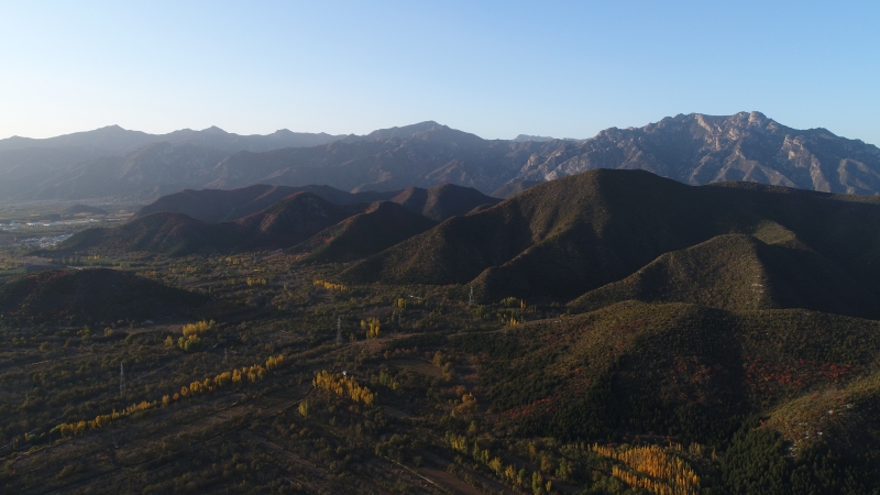 俯瞰山林