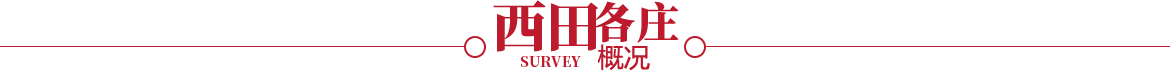 西田各庄概况