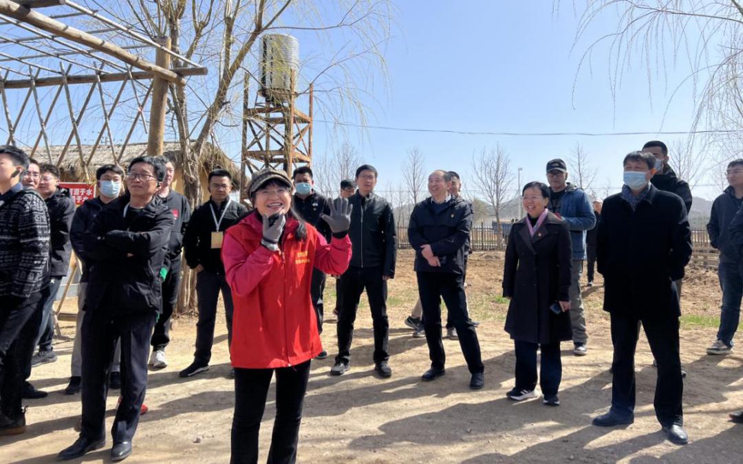 金叵罗村喜迎嘉宾承接北京市第七批市派第一书记实地教学活动