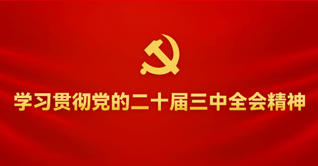 学习贯彻党的二十届三中全会精神