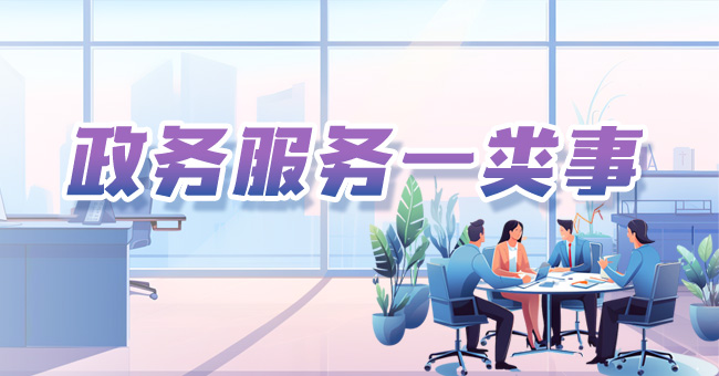 政务服务一类事