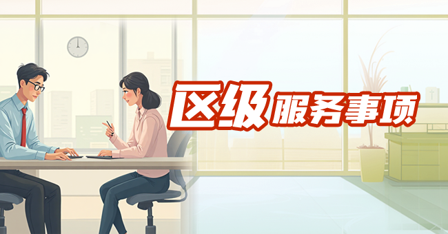 区级服务事项