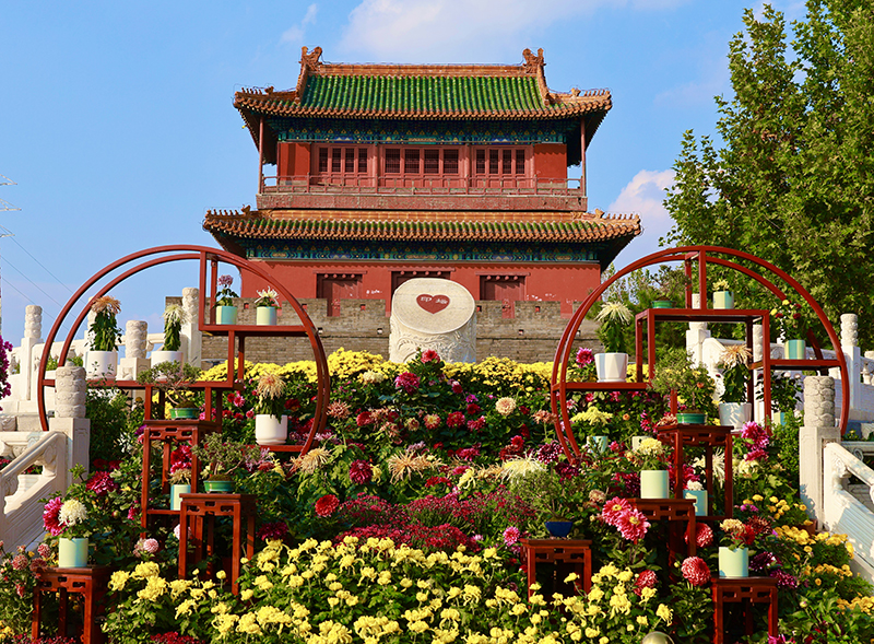 密虹公园小图.jpg