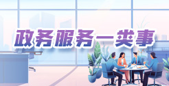 政务服务一类事