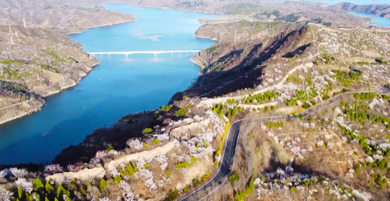 丨赏花经济增活力 春日颜值变产值_热点关注_北京市密云区人民政府
