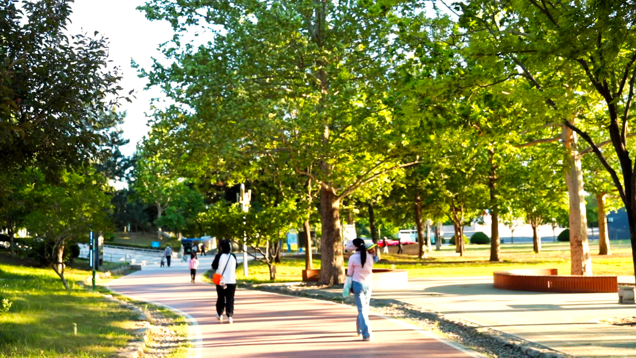 DM_20260526160215_002.png