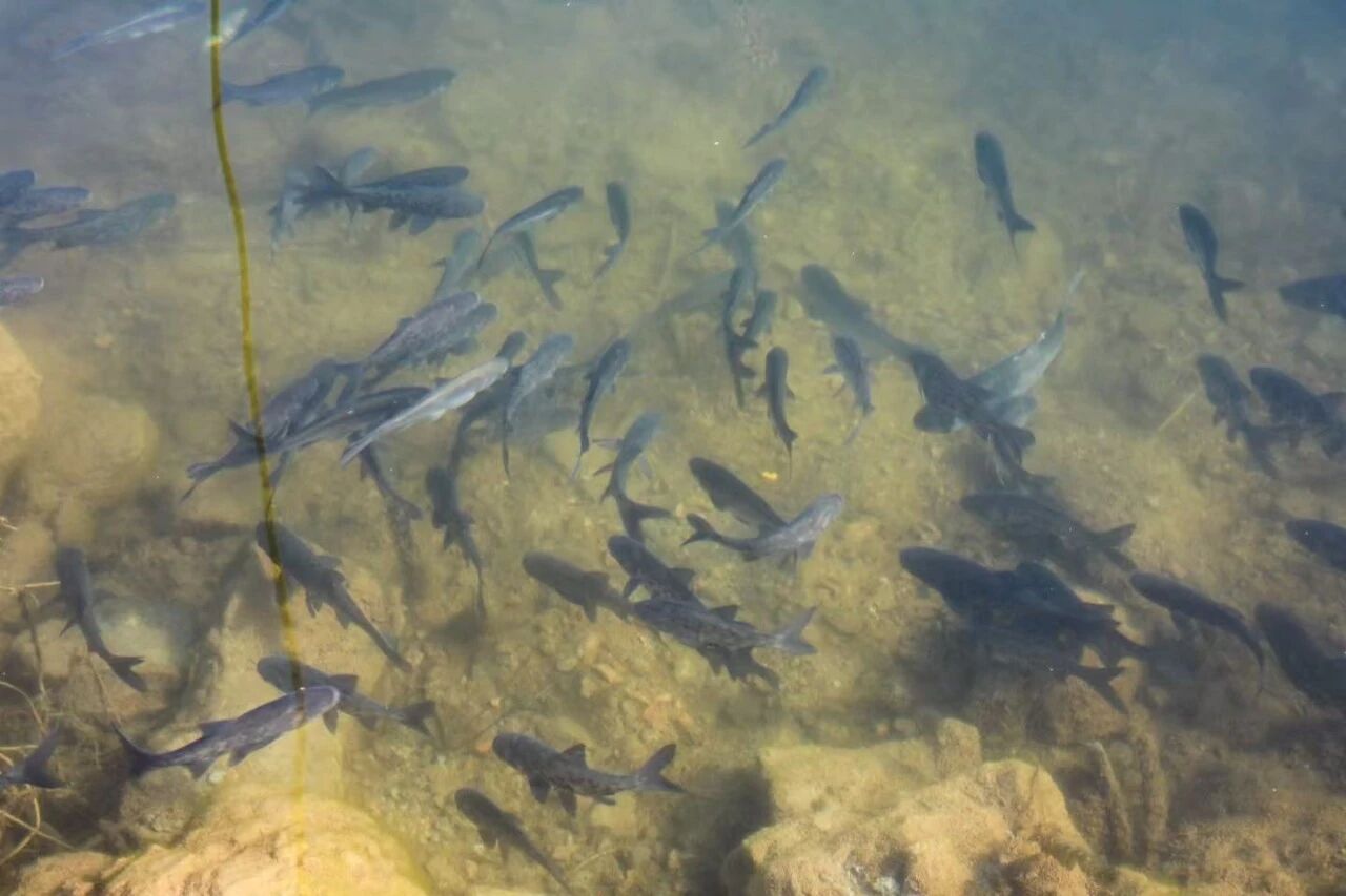 DM_20261030102936_003.jpg