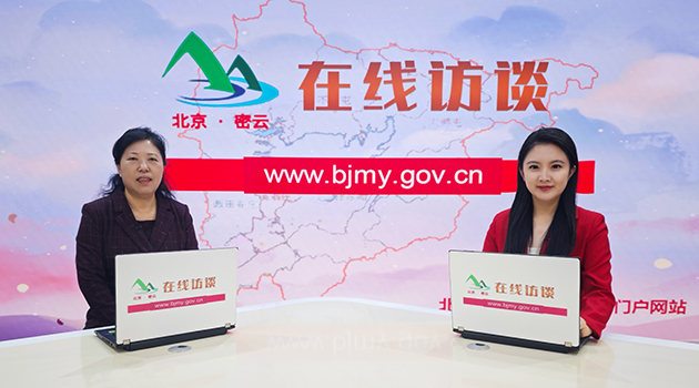 北京市密云区西田各庄镇政府关于“村里掌端代办”政务下沉模式访谈