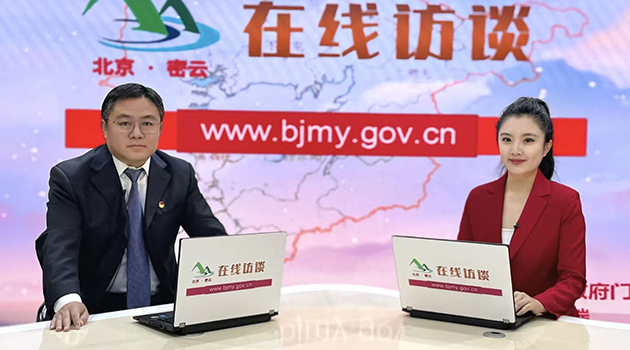 聚焦市政道路建设 持续优化路网结构