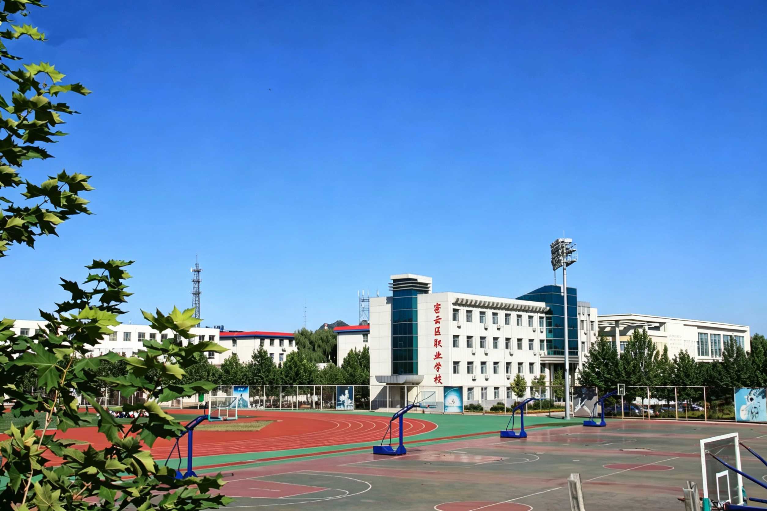 图片1.png