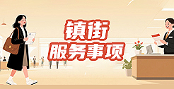 镇街服务事项