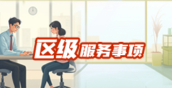区级服务事项