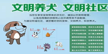 文明养犬