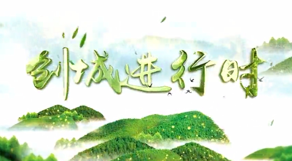 【视频】创城进行时 | 志愿服务 花开密云