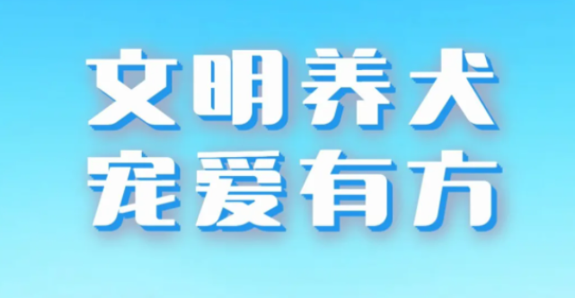 H5公益广告 | 文明养犬