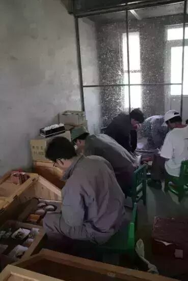 37.jpg